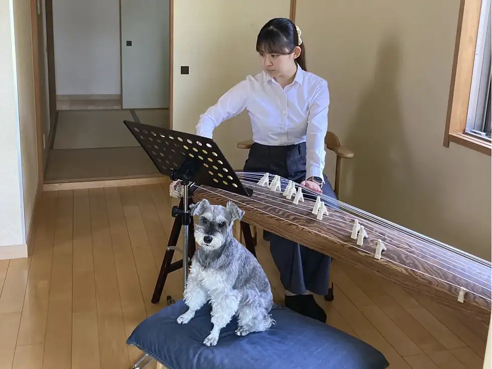 教室内にお連れできます